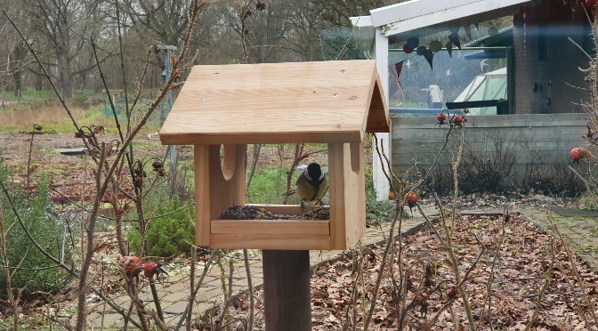 lade Wegversperring Rationalisatie Stappenplan: Zelf een voederhuisje voor vogels maken (met kinderen) ⋆  Eigenwijs Blij
